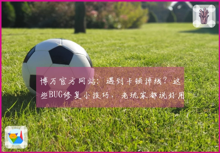 博万官方网站：遇到卡顿掉线？这些BUG修复小技巧，老玩家都说好用！