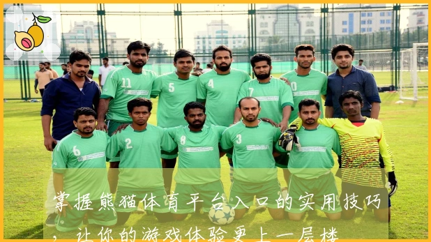 掌握熊猫体育平台入口的实用技巧，让你的游戏体验更上一层楼