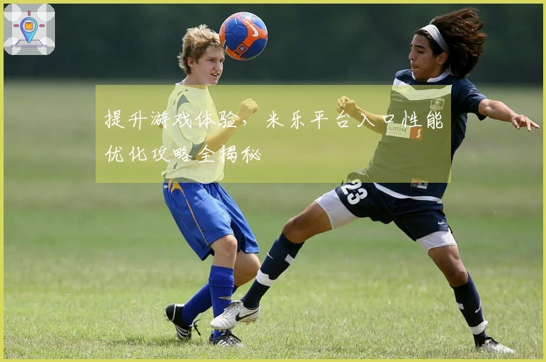 提升游戏体验，米乐平台入口性能优化攻略全揭秘