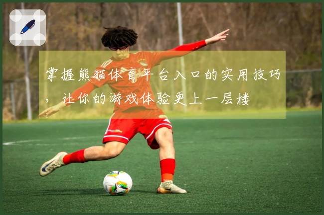 掌握熊猫体育平台入口的实用技巧,让你的游戏体验更上一层楼
