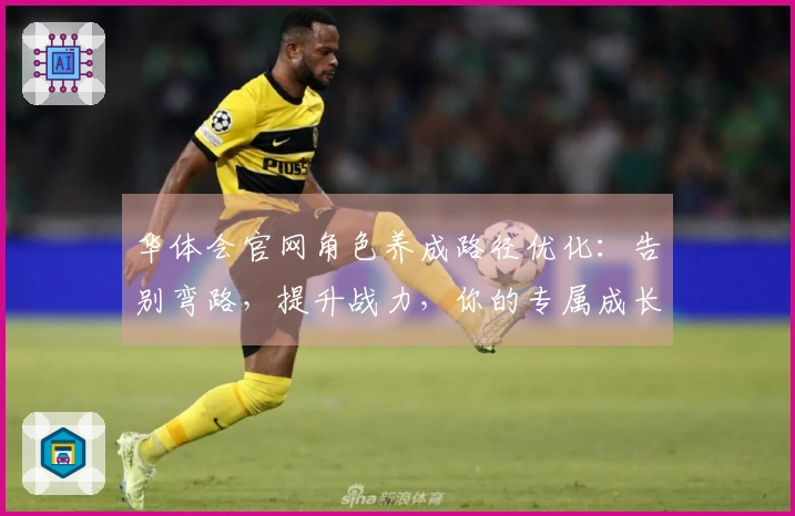 华体会官网角色养成路径优化：告别弯路，提升战力，你的专属成长路线这样走