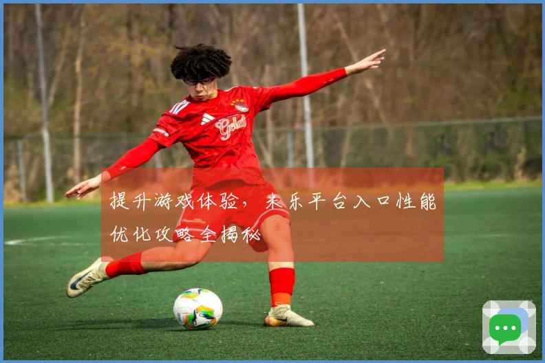 提升游戏体验，米乐平台入口性能优化攻略全揭秘